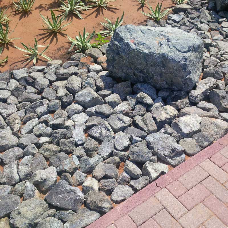 Landscaping project