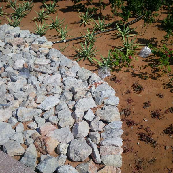 Landscaped grounds